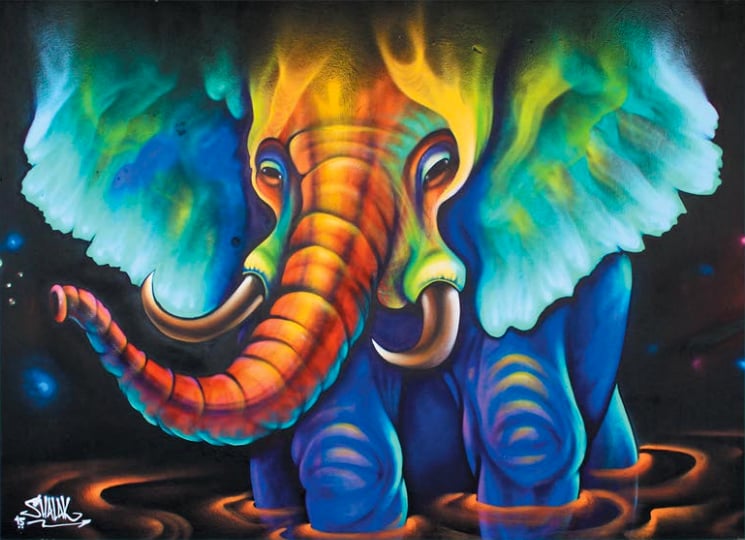 Image of 'Elephant Aurora' by Shalak Attack