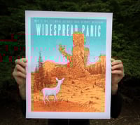 Image 1 of  Widespread Panic May 3rd Fillmore Detroit Michigan 