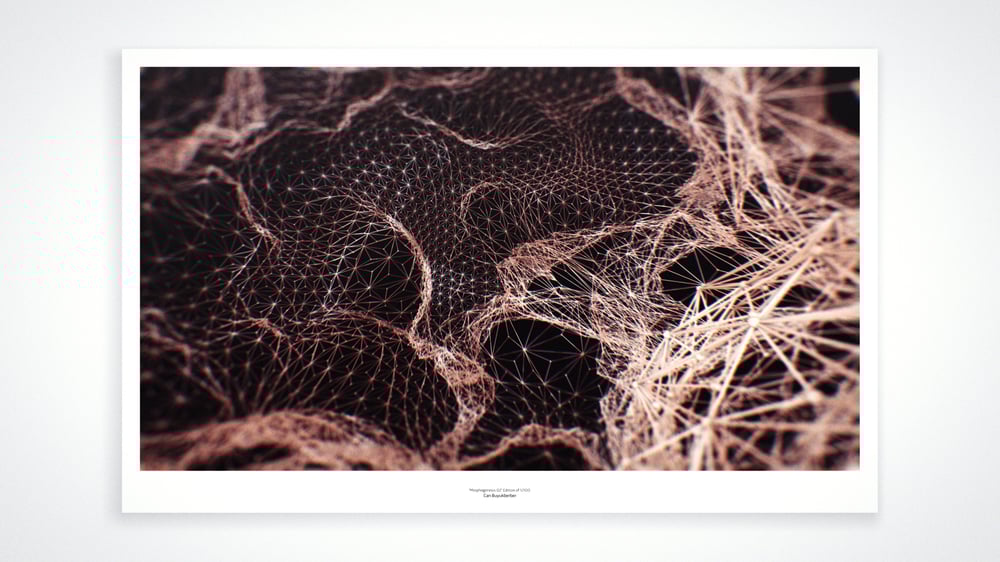 Image of Morphogenesis 02