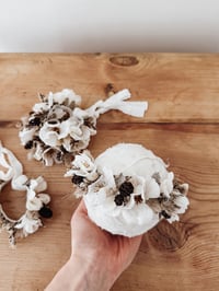 Image 6 of little star