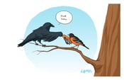 Image of Bmore Birds 2013 Print