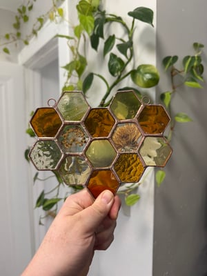 Honeycomb with Milkweed and Calendula flowers