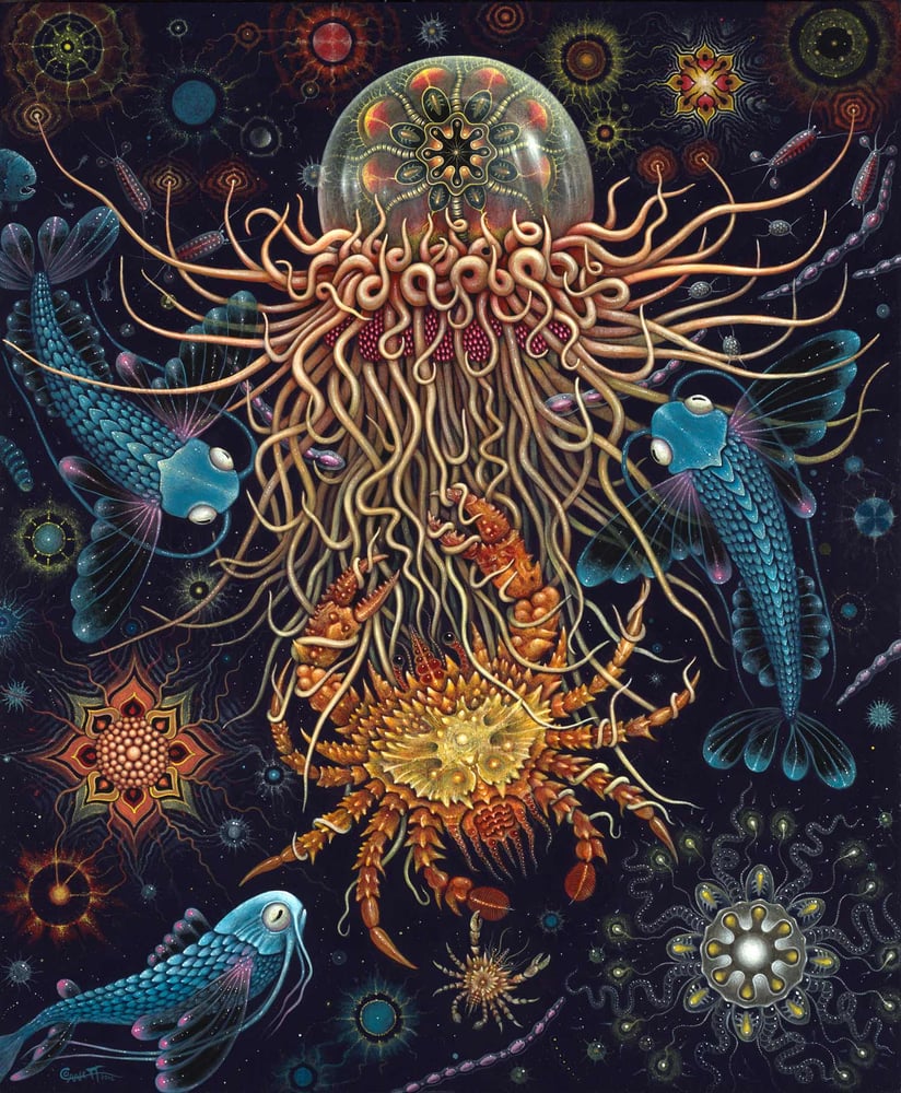 Image of MEDUSAE ~ 20 x 24" LIMITED EDITION ~ Signed & Numbered 