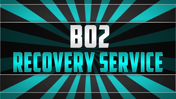 Image of Black Ops 2 Recovery Service PS3