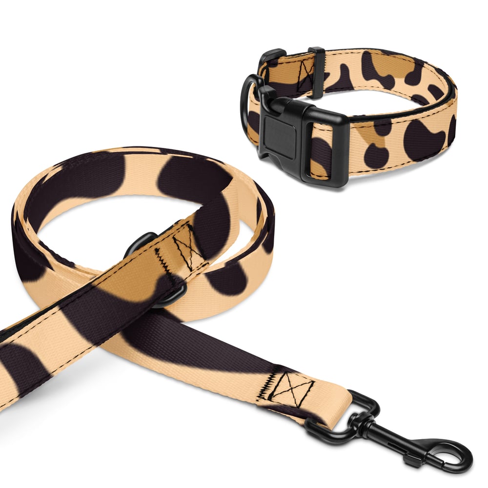 Image of Pet collar & leash Leopard