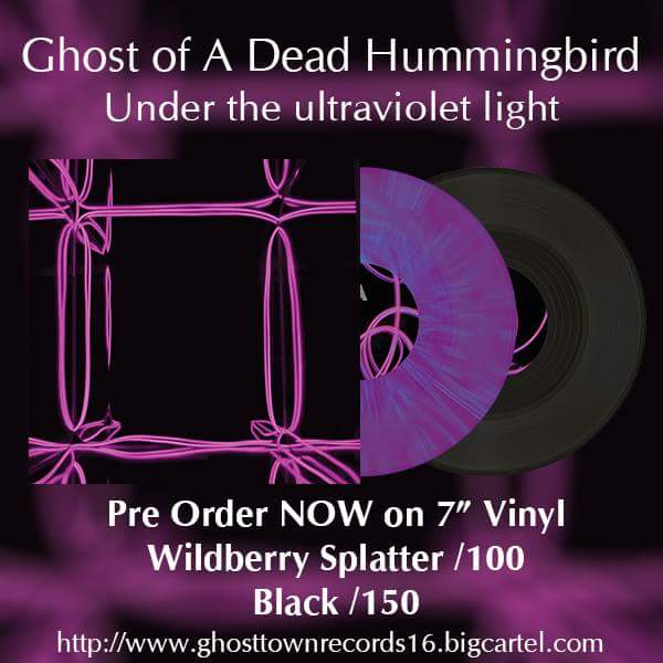 Image of Ghost of a Dead Hummingbird " Under the Ultraviolet Light" 7"
