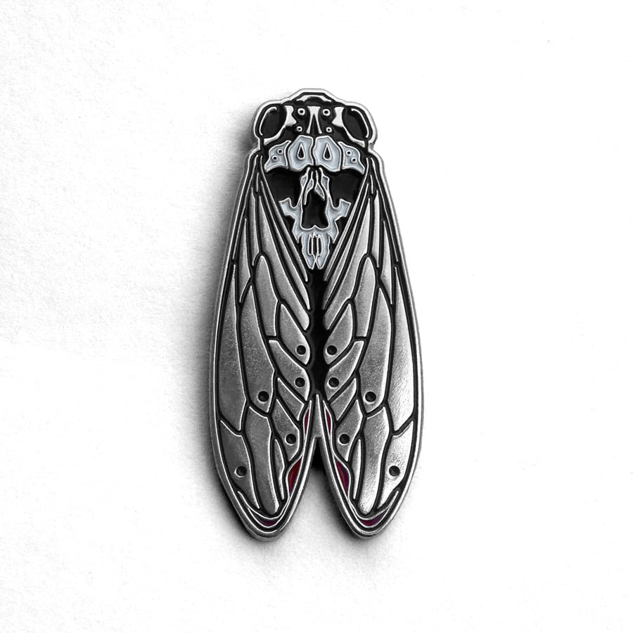 Image of Death's-Head Cicada Pin