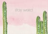 19. postkaart cactus aquarel "stay weird"