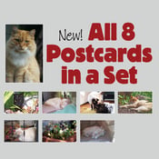 Image of Set of 8 Giant Postcards, FREE Shipping