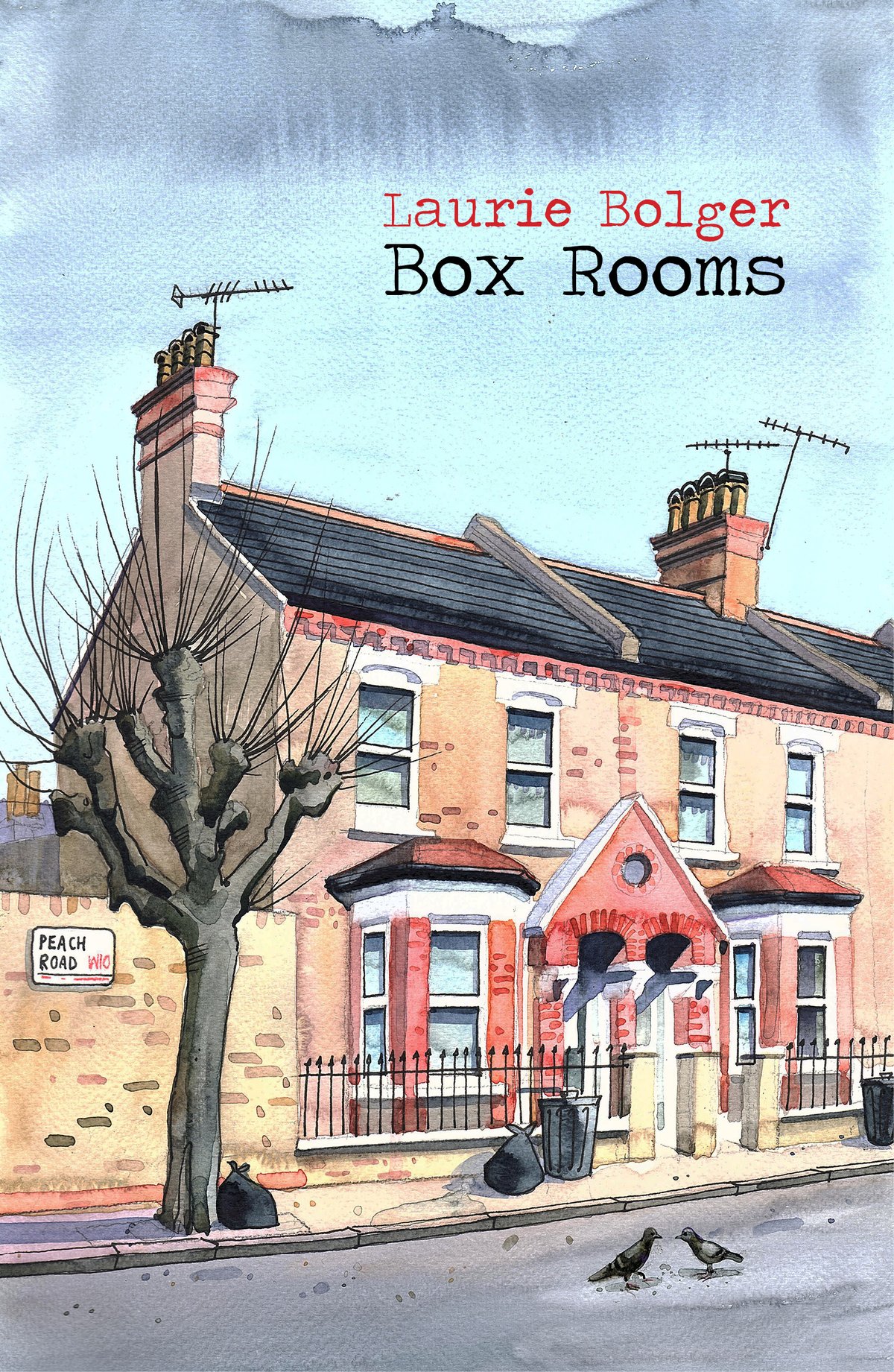 Image of Box Rooms by Laurie Bolger