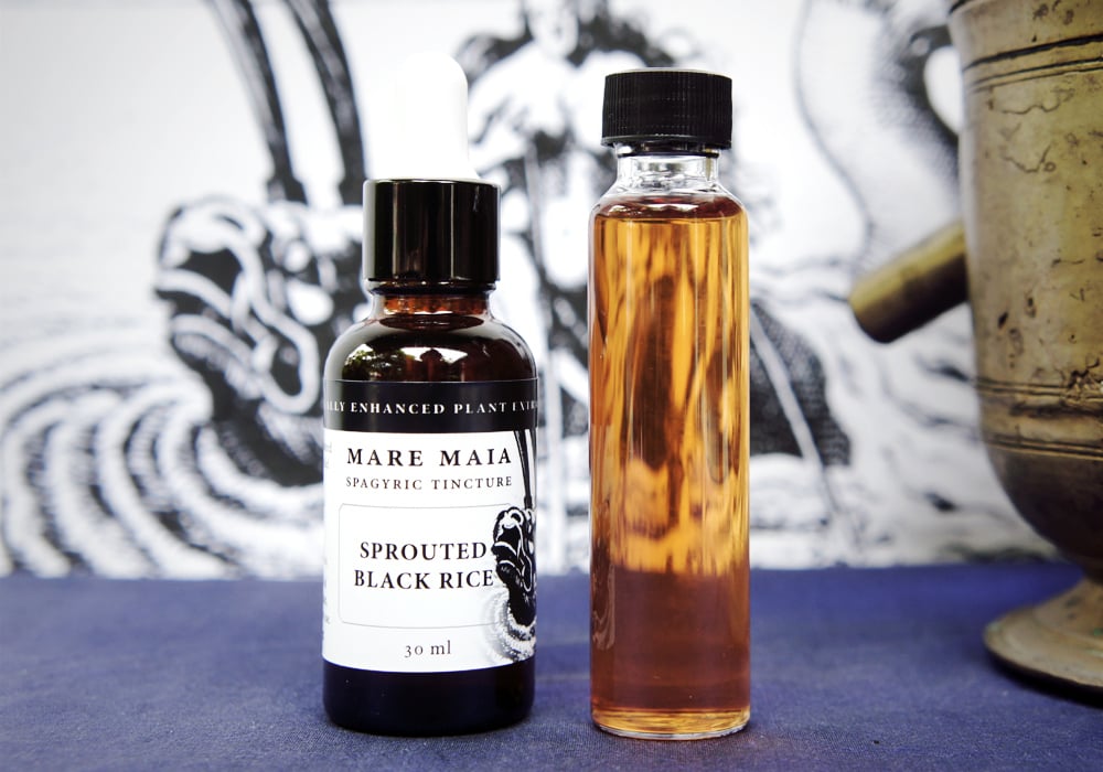 Image of SPROUTED BLACK RICE spagyric tincture - alchemically enhanced plant extraction