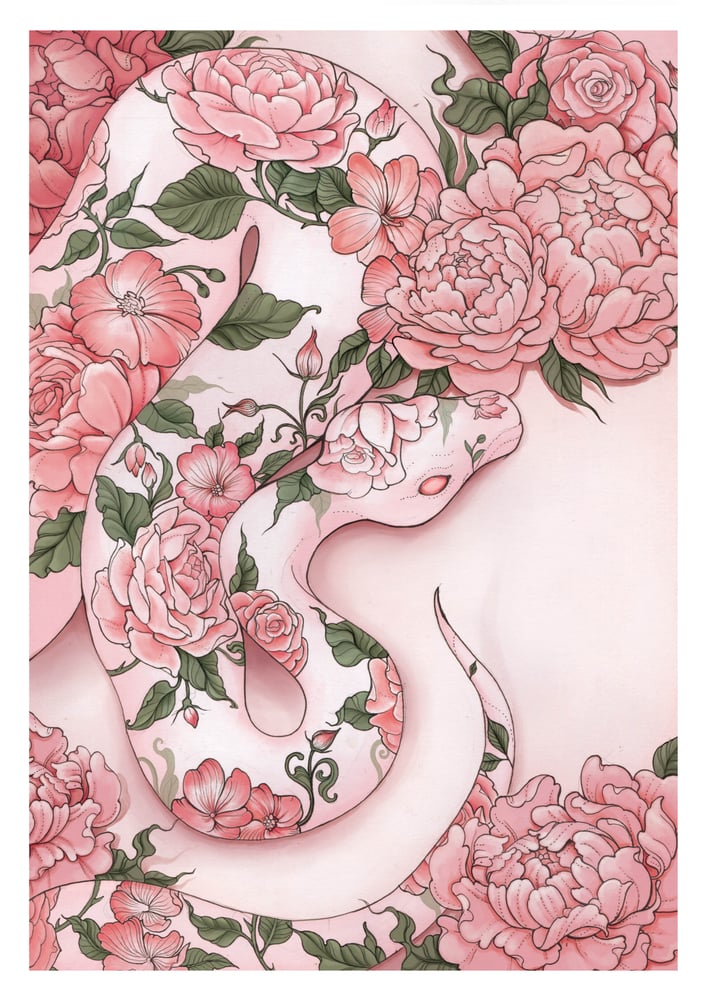 Image of Floral Boa