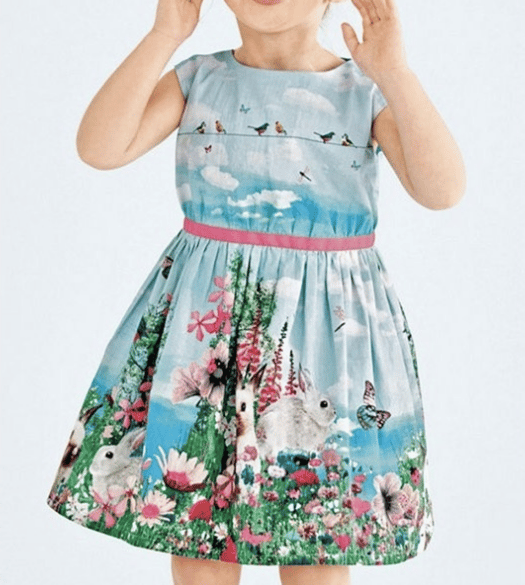 Image of bunny birdie print pleated toddler dress