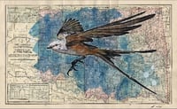 Oklahoma and Indian Territory print