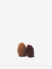Image 1 of Pinecone Candles