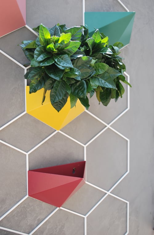 Image of Vertical Garden