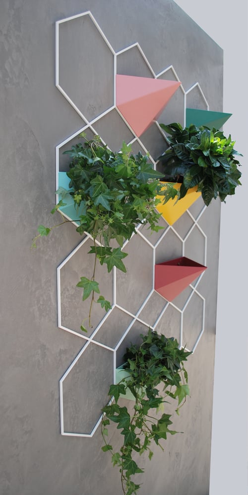 Image of Vertical Garden