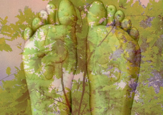 Image of Reflexology