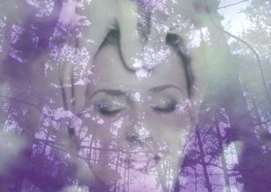 Image of Indian Head Massage