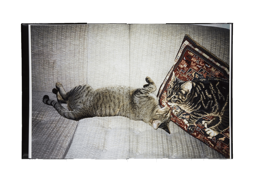 Image of PierLuigi Macor «Zukunft» Book