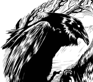 Image of Raven and Wolf ying yang original art