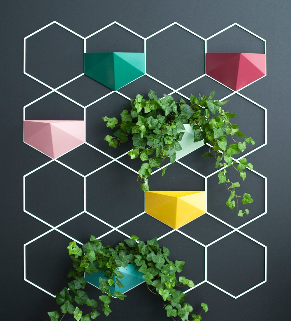 Image of Vertical Garden