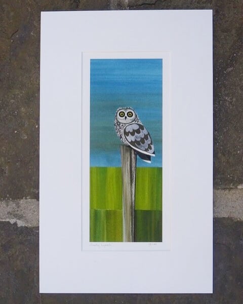Image of Short eared owl Limited Edition Print