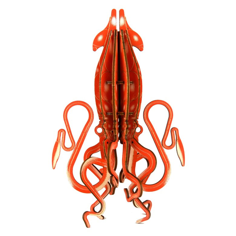 Image of JCR MOLLUSCA : GIANT SQUID