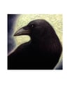 Crow Moon- 8x10" Open Edition Print