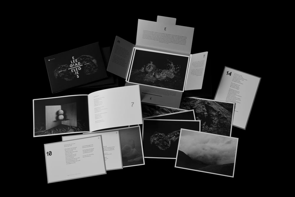 Image of ELEGIES