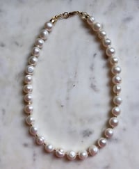 Image 1 of *new* LARGE PEARL SHORTY