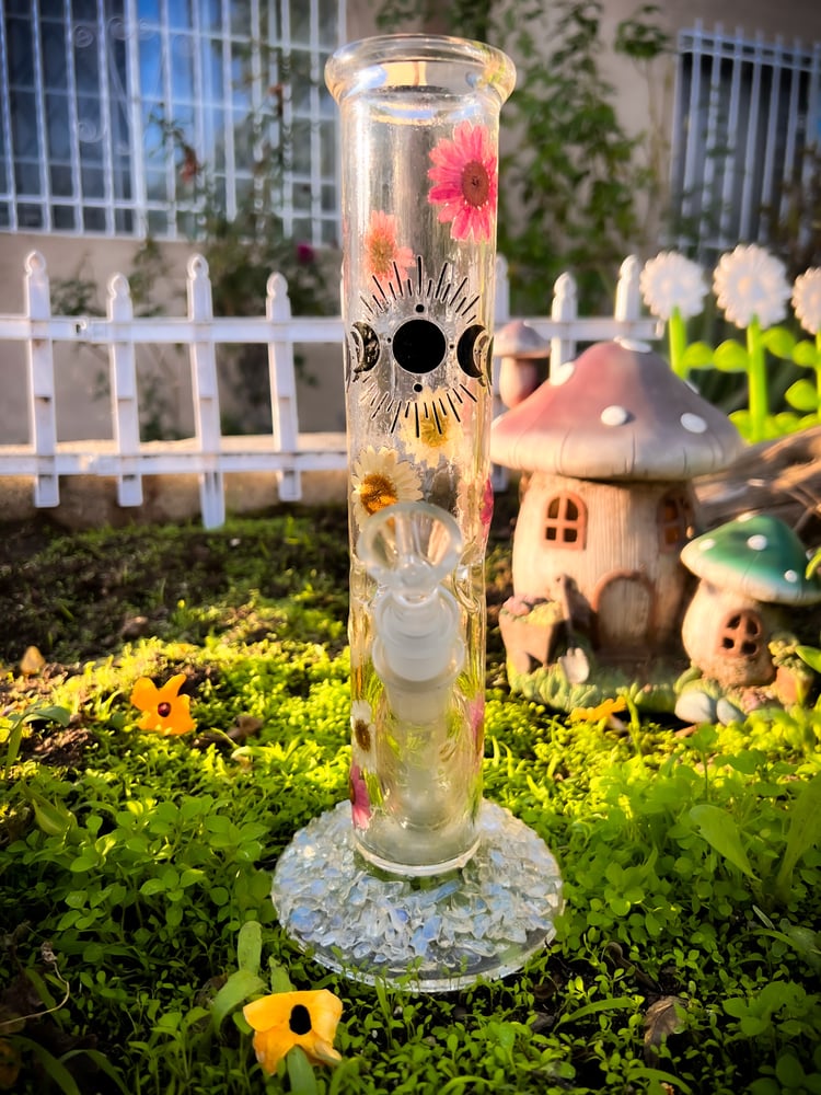 Image of Pixie