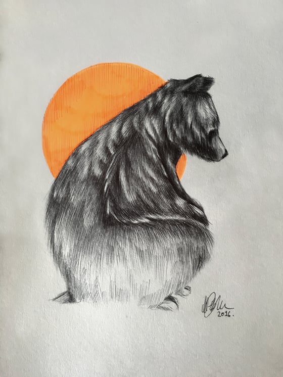 Image of Biro Bear