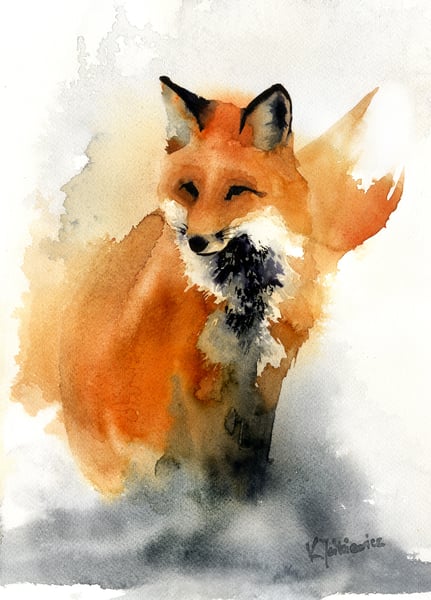 Image of fox