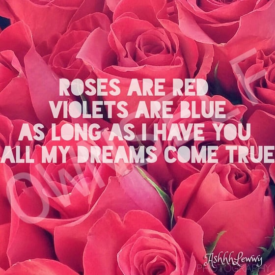 Image of Rose Dreams [Magnet]