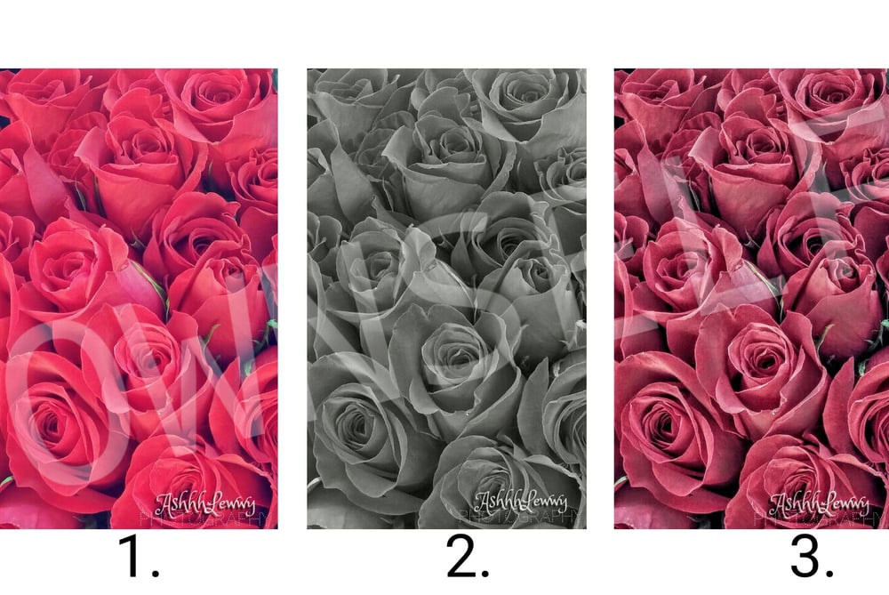 Image of Johnnie's Way 🌹