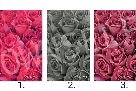 Image of Johnnie's Way 🌹