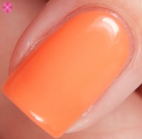 Image 5 of Starliner