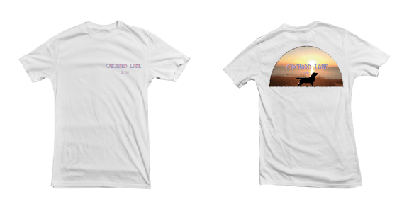 Image of Sunset T