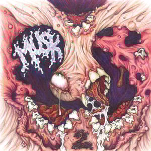 Image of TANGLED WEB OF SUMMER (BARGAIN) BUNDLES