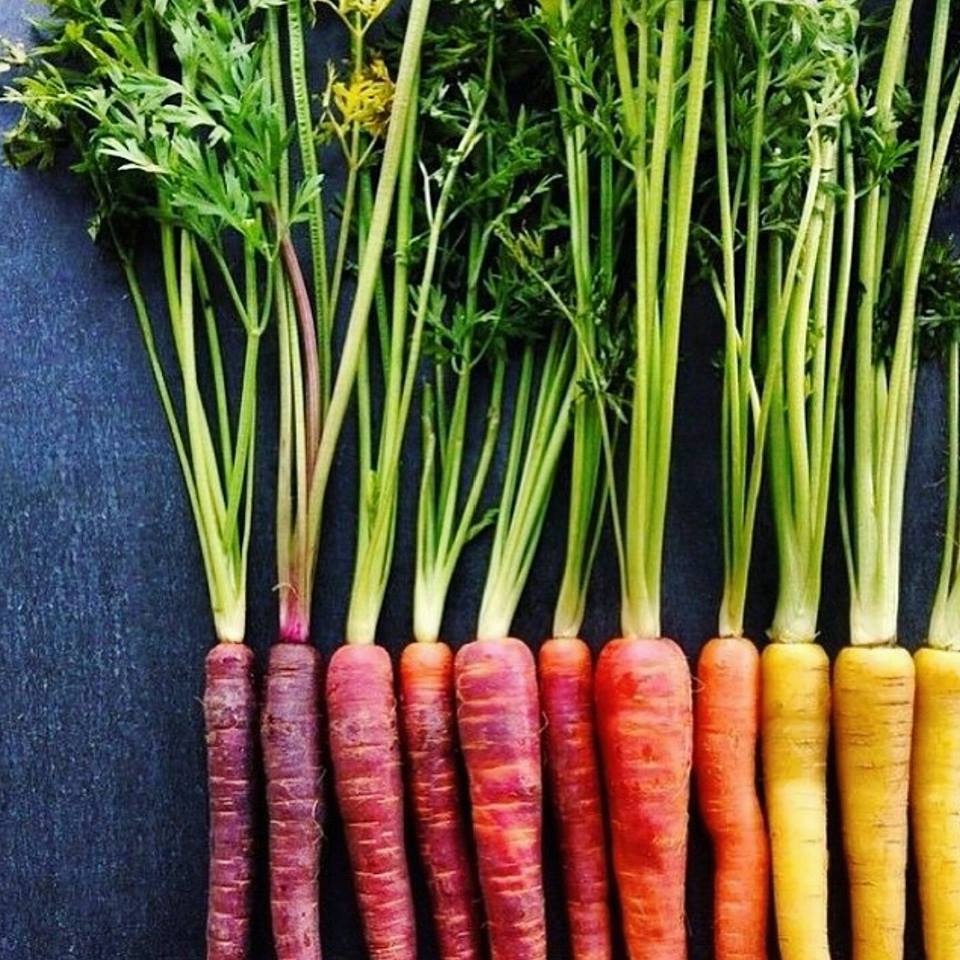 Image of Rainbow carrots
