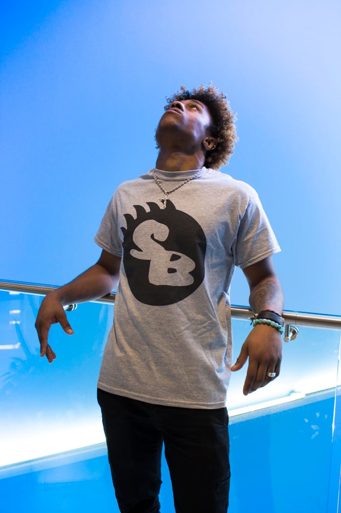 Image of Gray SB Logo