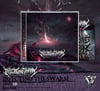 INFECTING THE SWARM - Abyss CD 
