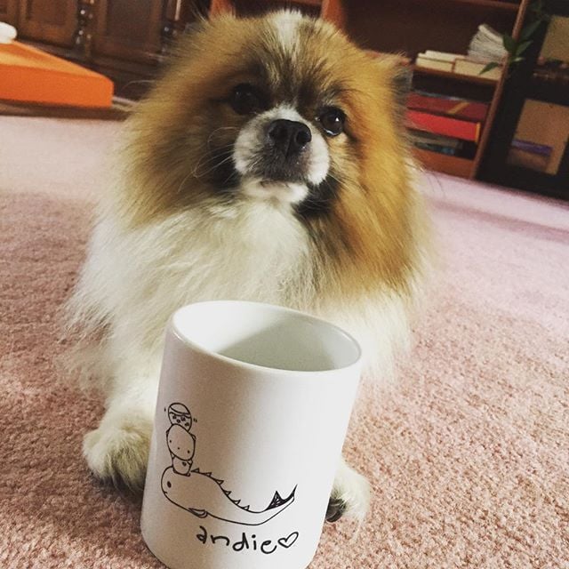 ANDIE + kay's gofundme mug