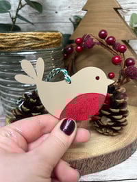 Image 3 of Robin dec