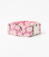 Painted Daisies Dog Collar
