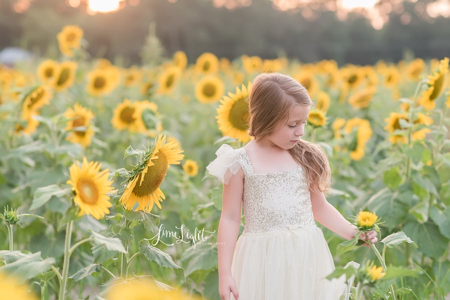 Image of Sunflower Mini Sessions