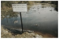 ⋆ Postcard Print ⋆ Tallahassee Lassie