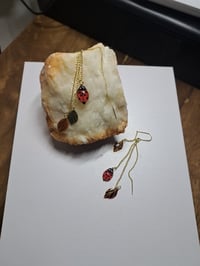 Image 3 of Ladybug 🐞 