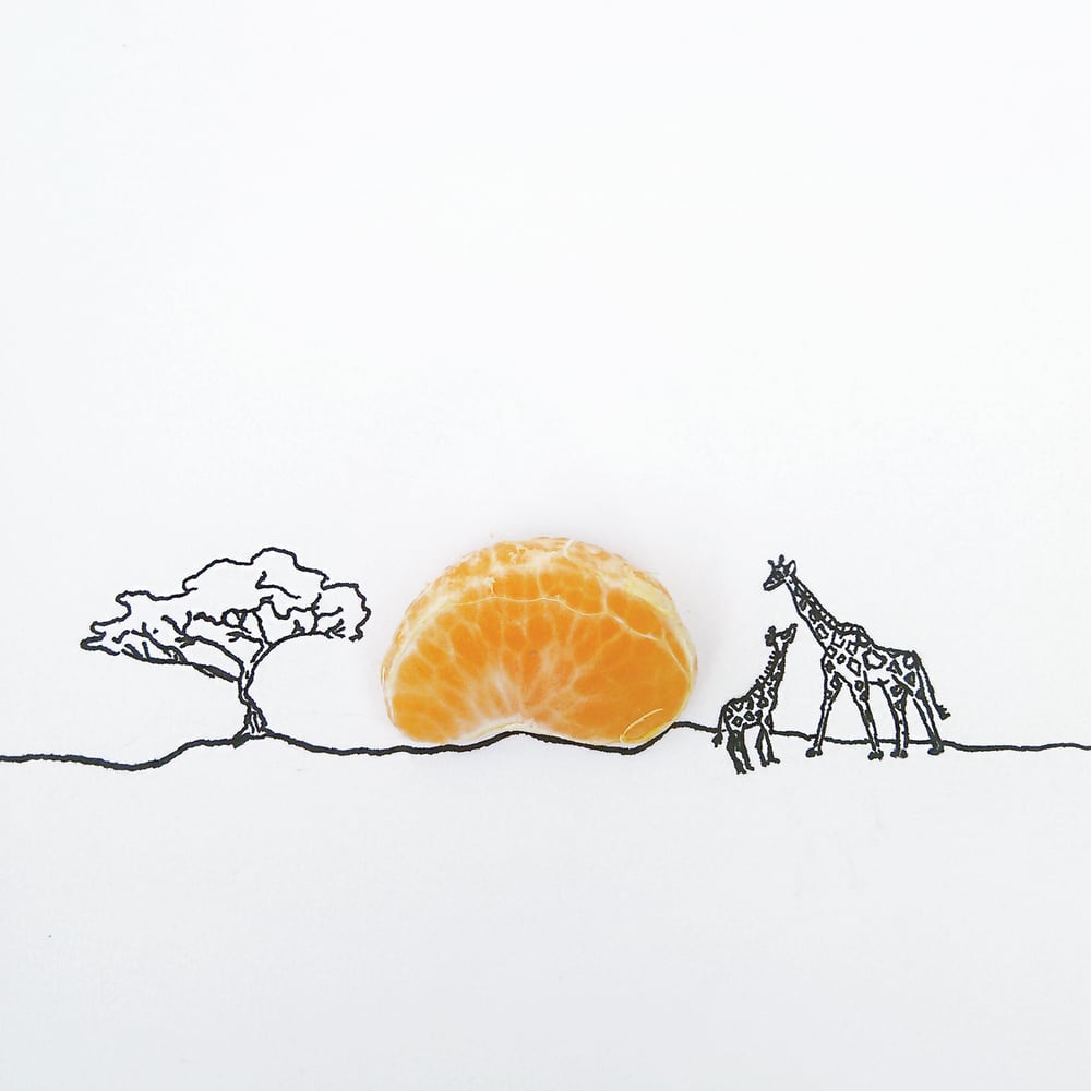 Image of Lion King Clementine